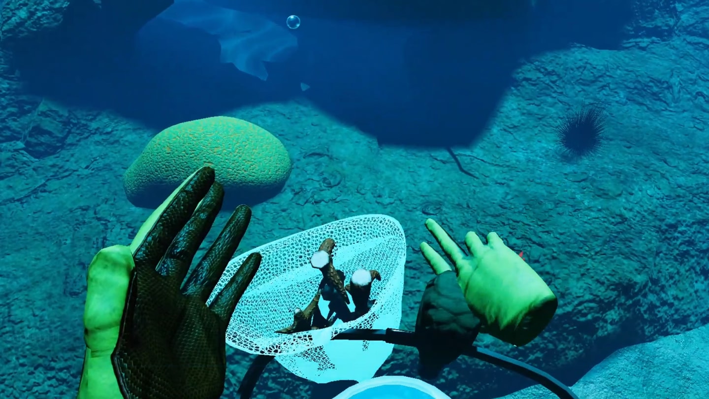 #3. How to Rescue a Reef LITE (Meta) 由: Rescue a Reef program